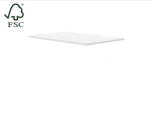 FlexiSpot Tischplatte in 120(B)x80(T)x2,5(H) cm, MDF, Farbe: Weiß