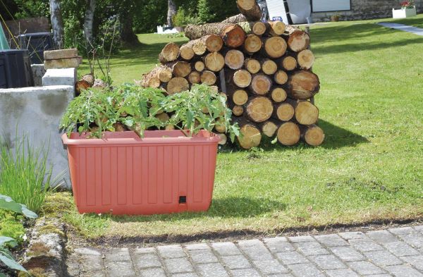 Pflanzkasten "Ambizioso" mit Rollen, terra