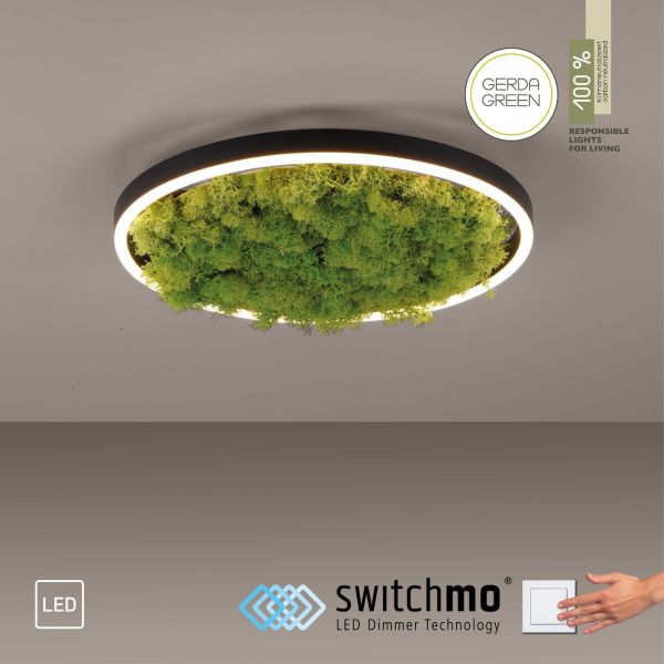 LED Deckenleuchte GREEN RITUS, 3-Stufen-Dimmer, echtes Moos, Ø39,3cm