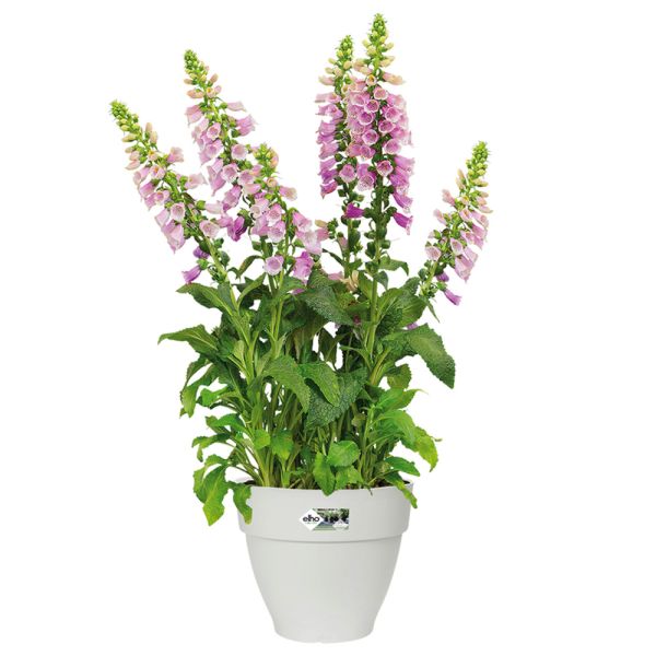 Deuba® Blumentopf Weiß 20x17cm 3,2L