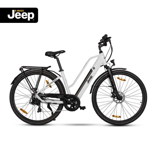 Trekking E-Bike TLR 7011