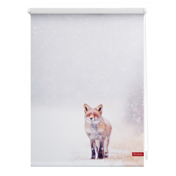 Lichtblick Rollo Klemmfix, ohne Bohren, blickdicht, Fuchs im Schnee - Weiß Rot, 45 cm x 150 cm (B x L)