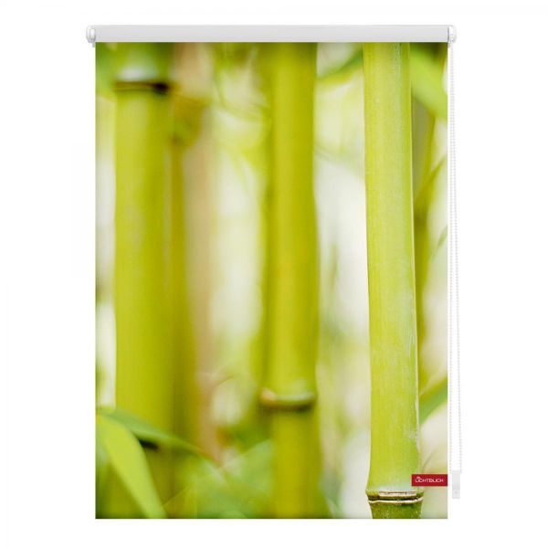 Lichtblick Rollo Klemmfix, ohne Bohren, blickdicht, Bambus - Grün, 120 x 150 cm (B x L)