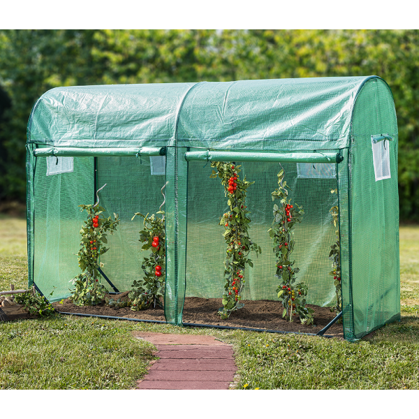 Tomaten-Gewächshaus mit 2 Toren und 4 Fenstern