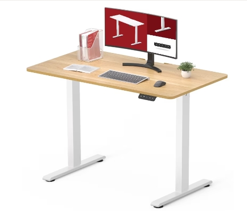 FlexiSpot Elektrisch höhenverstellbarer Schreibtisch -1Motor&2Hub-Säulen Farbe:Grau