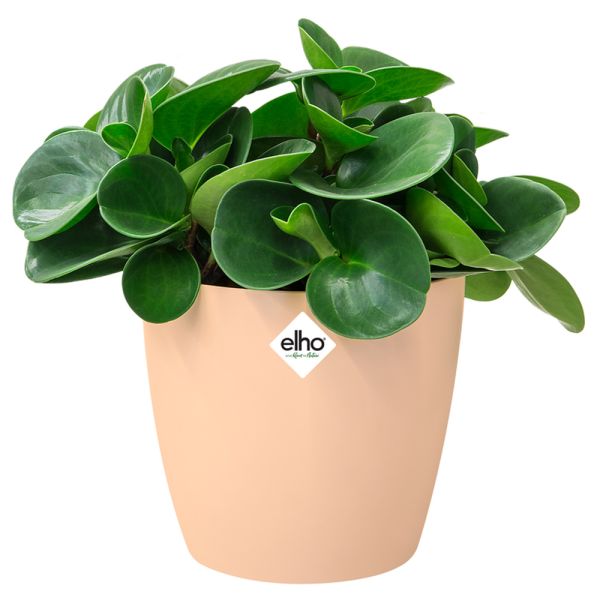 Deuba® Blumentopf Brussels Nude 14x13cm 1,4L