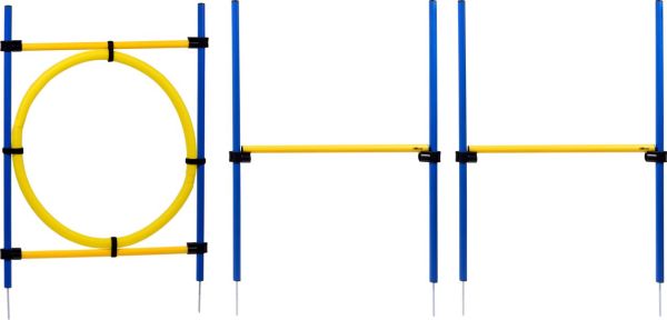 Agility-Sprungset, 2x Hürden, 1x Ring