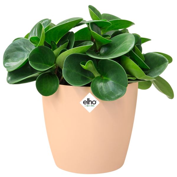 Deuba® Blumentopf Brussels Nude 18x17cm 3,3L