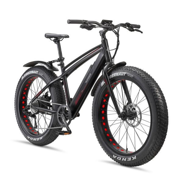 26 Zoll MTB Fatbike E-Bike Aufsteiger FM350