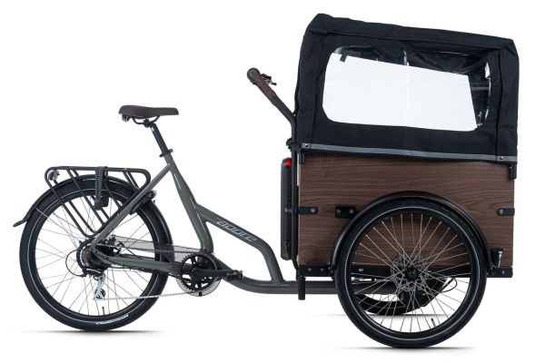 Cargo E-Bike Urban Deluxe grau 250W 36V/13 Ah Li-Ion-Akku