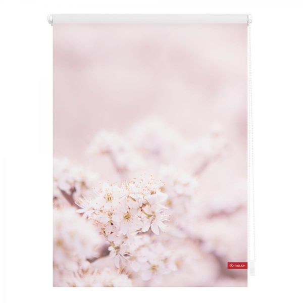 Lichtblick Rollo Klemmfix, ohne Bohren, blickdicht, Kirschblüten - Rosa Weiß, 90 cm x 150 cm (B x L)
