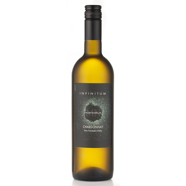 Chardonnay Italia 0,75l