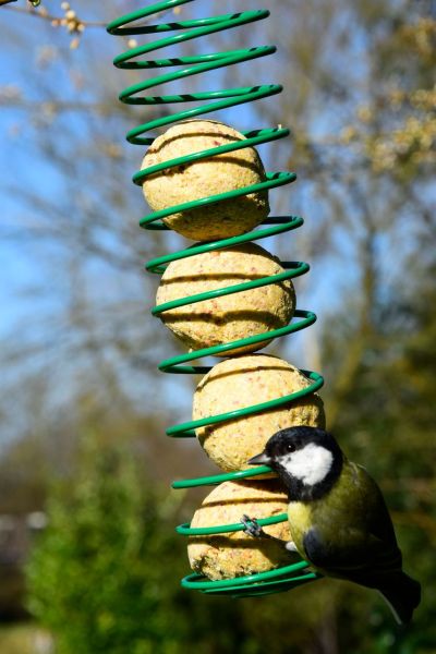 Meisenknödel 100 Stück a 90g Tierfutter Vogelfutter