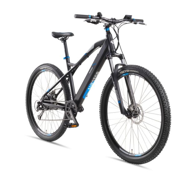 29 Zoll Mountain E-Bike Aufsteiger M924, blau