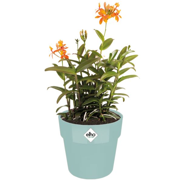 Deuba® Blumentopf Mint 18x17cm 2,9L