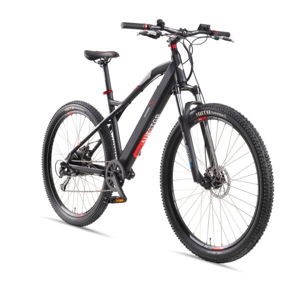 29 Zoll Mountain E-Bike Aufsteiger M924, rot